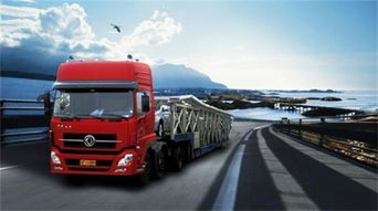 智利专线货运服务提供商