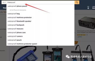 一、理解亚马逊长尾关键词的重要性