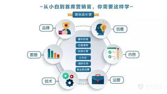 产品主图：视觉营销的利器