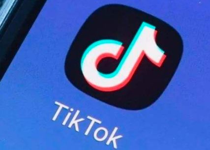 TikTok受欢迎程度的下降：数据解读