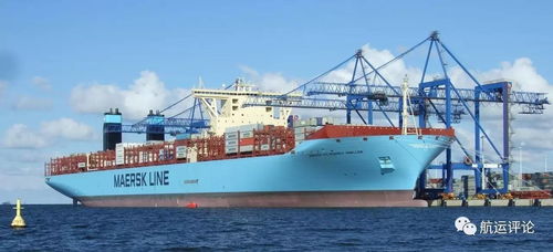 一、 信息孤岛效应：官网查询的局限性