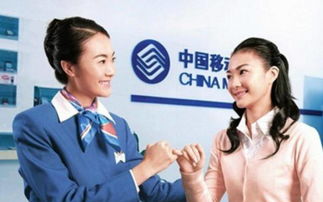 男性客服在技术支持方面的作用