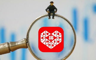 一、 违规操作的多样性与严重性