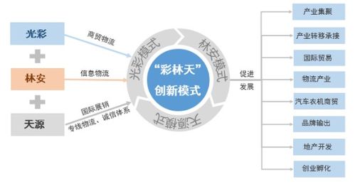 四、 未来规划与可持续发展