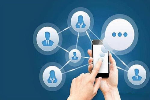 2. 店铺优化， 细分定位