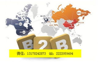 二、 B2B推广信息优势