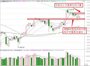 确定性趋势与市场前景