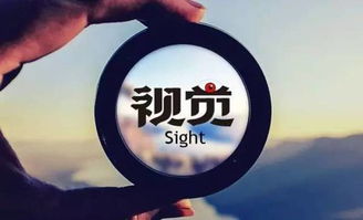 一、 TikTok仿大牌款式作图与运营的重要性