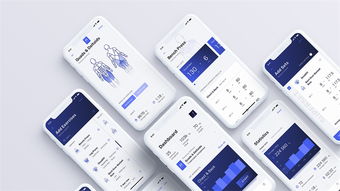 案例分析：刮痧板在Tk独立站的选品与运营