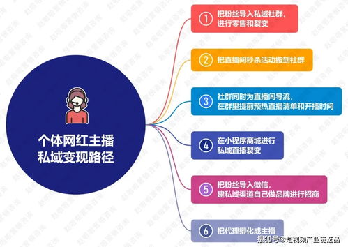 拓展变现途径：多样化策略助力收益提升