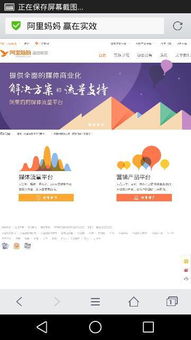 4. 合作网站和博客