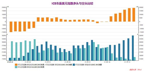 （2）国际政治经济形势