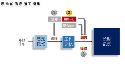 平台核心联系方式：多渠道助力沟通