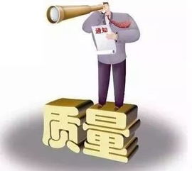 一、 拍拍网服装质量概况