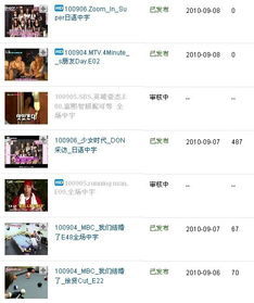 一、 视频审核中的含义解析