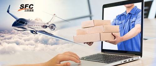 二、 清关经验与冷链服务