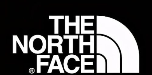 二、 拼多多黑标：品牌可信度的考量