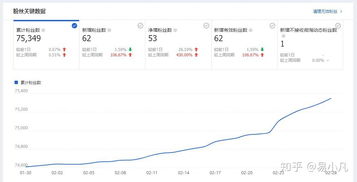 转化稳定性与店铺权重提升：补流量的长期价值