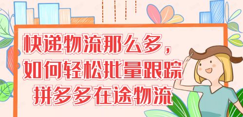 物流追踪系统的准确性与时效性：对跨境电商运营的重要性
