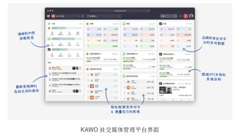 社交媒体平台推广