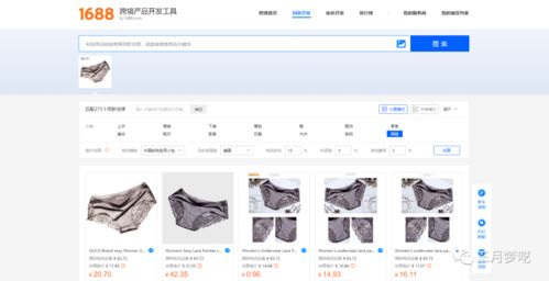 Shopify套餐选择与注册