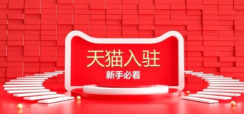 二、 天猫：高端电商的璀璨明珠