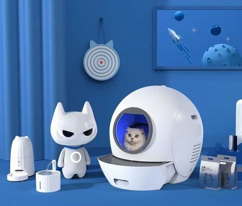 宠物用品：自动喂食器成新晋爆款