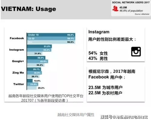 关注订单量变化与社交媒体流量来源