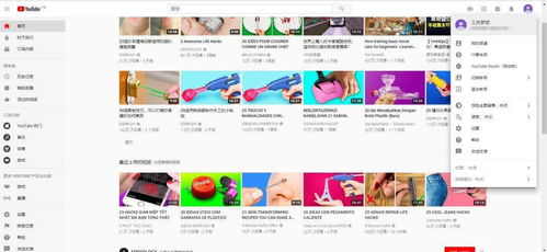 一、 YouTube广告收入持续增长，市场潜力巨大