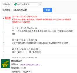 登录与查询步骤详解