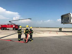 滚装运输：零担运输的“海上兄弟”