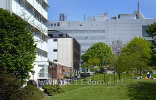 三、新普利茅斯区域奖学金解析