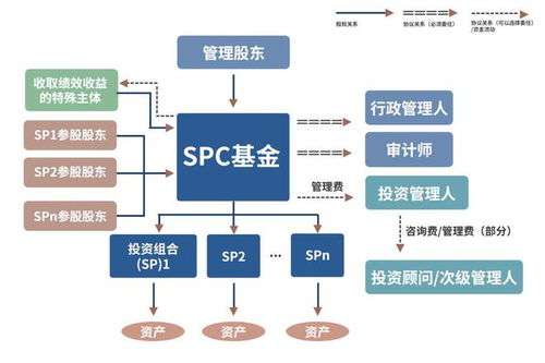 1. LLC（Limited Liability Company）
