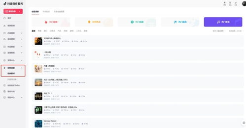 一、 抖音创作服务平台概述