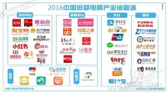 6. 寻价型消费者