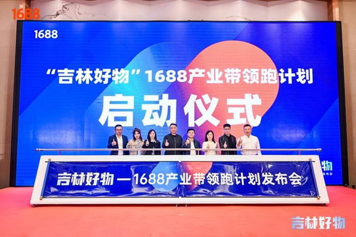 三、 白沟产业带领跑计划的实施与成效