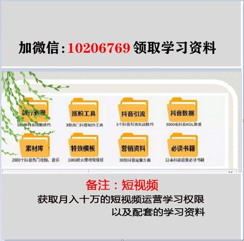 3. 合理安排直播时间