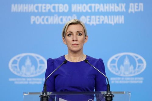 三、 俄罗斯消费者日常交流中的“ozon”现象