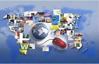 五、 工业品买家：对供应商要求严格