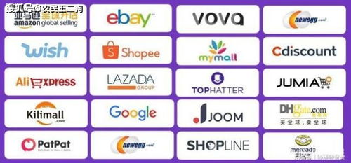 三、 电商平台选择：审慎决策，打造全球销售网络