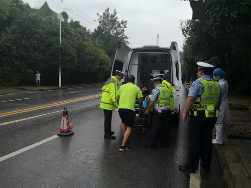 二、 研究制定应急处置交通运输突发事件以及紧急运输保障的措施