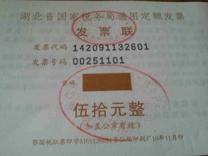 2. 税务登记资质