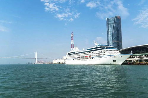 长江轮船以低成本、 高稳定性的干线网络服务产业链运输，而南美邮船tong过文化场景化与灵活航线重塑体验经济，两类模式分别锚定效率与价值的差异化赛道。