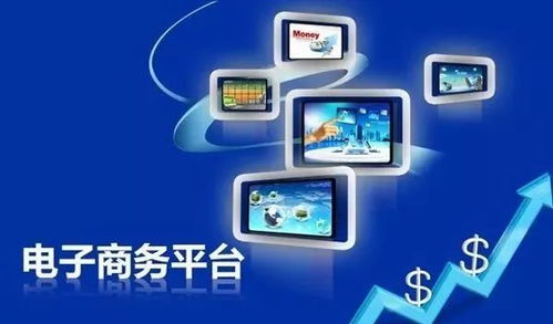 电子商务第三方支付平台现状及发展趋势