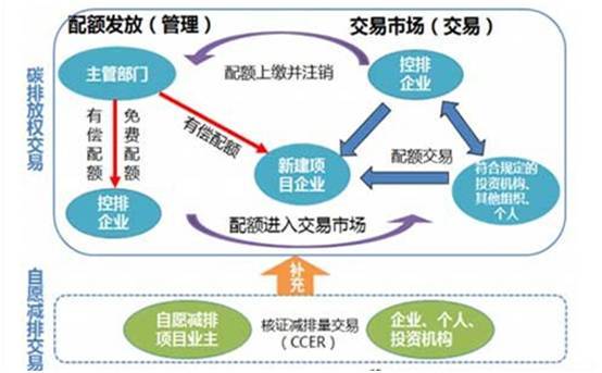 商品转化与排名：曝光流量的不可或缺性