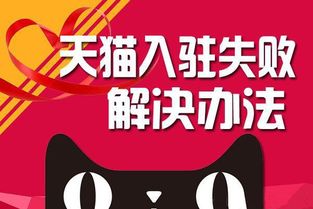 四、 目标客户群体不明确，需精准定位