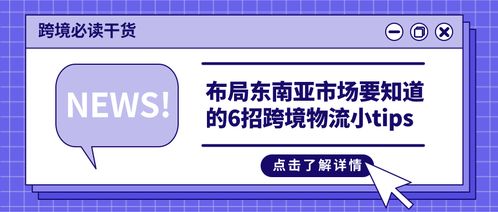 2. 提前了解进口国法规政策