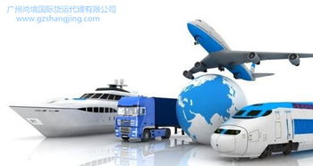 二、 产生额外费用：罚款、附加税与仓储费用