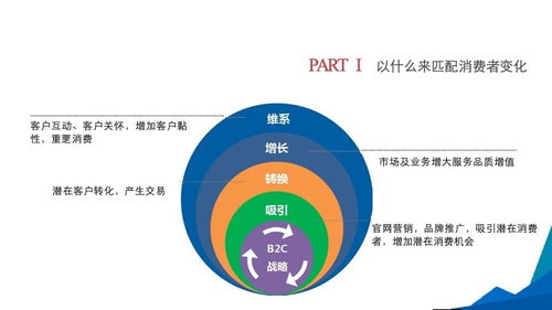 3. 跨境陆运的特殊性与挑战
