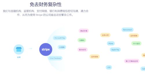 费率策略与优化建议